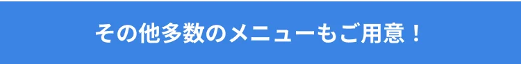 その他多数のメニューもご用意!