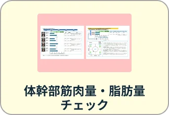 体幹部筋肉量・脂肪量 チェック