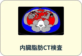 内臓脂肪CT検査
