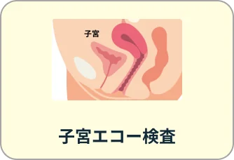子宮エコー検査