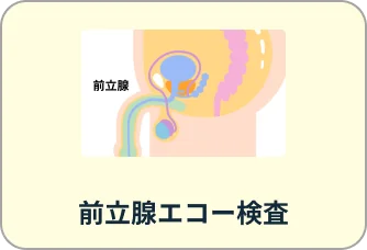 前立腺エコー検査